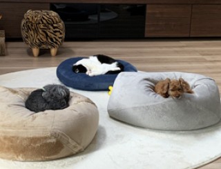 住宅：設計コンセプト 